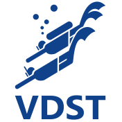 VDST Logo